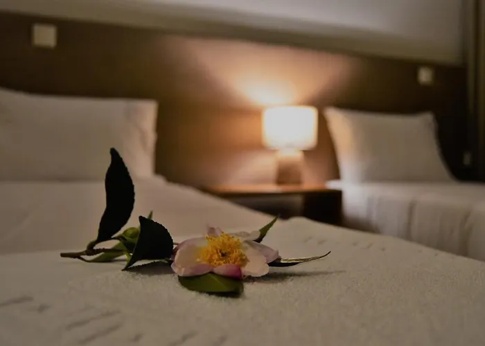 Villam Natura & * Vila Nova de Famalicão